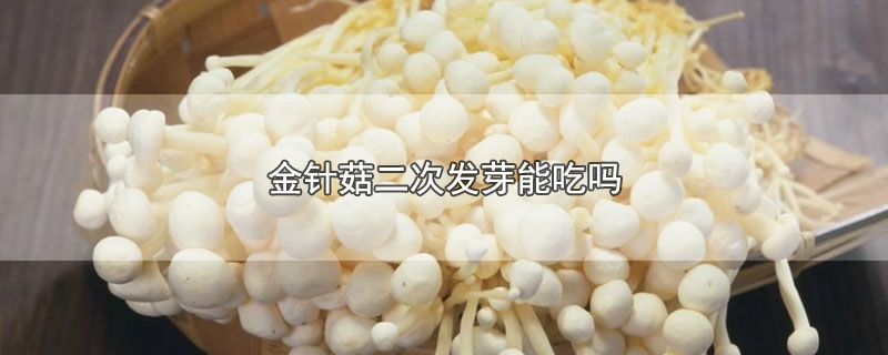 金针菇二次发芽能吃吗