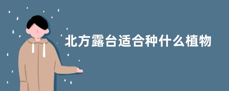 北方露台适合种什么植物 适合露台栽种的花卉植物