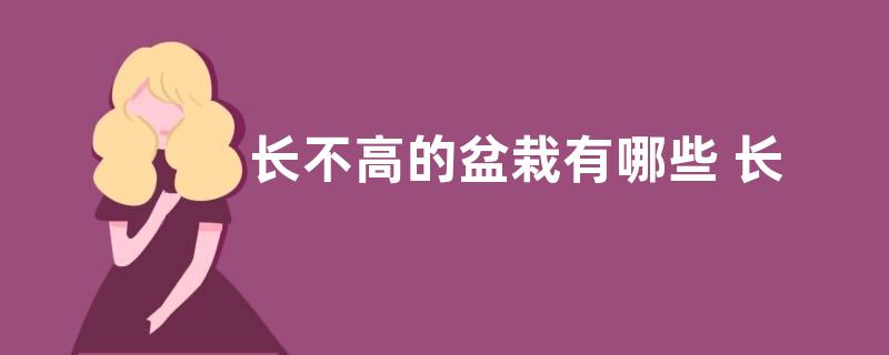 巴西木一年开几次花 养多长时间开花