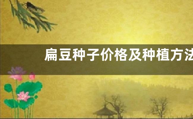 扁豆种子价格及种植方法，扁豆的病虫防治