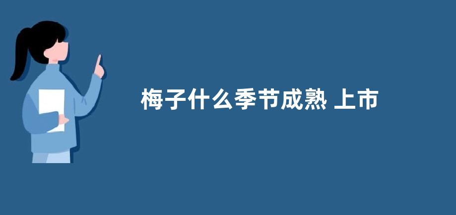梅子什么季节成熟 上市的时间是几月份