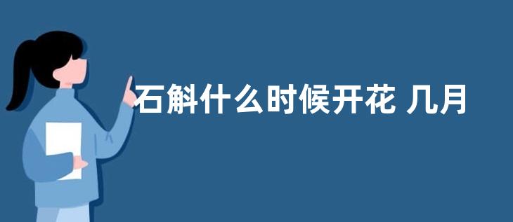 石斛什么时候开花 几月份开花