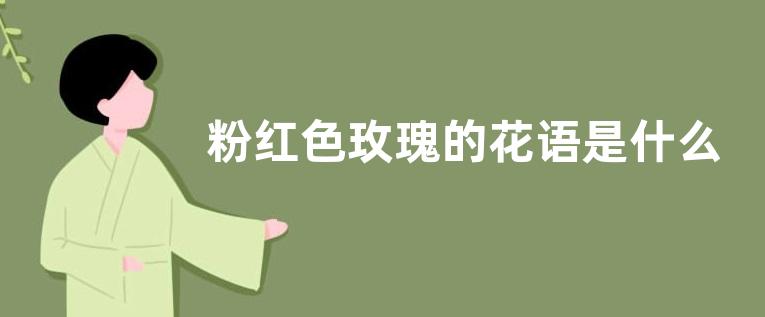 粉红色玫瑰的花语是什么寓意 代表的花语意思（大全）