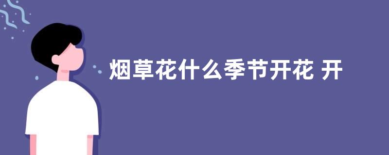 烟草花什么季节开花 开花时间在几月份