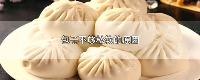 包子不够松软的原因
