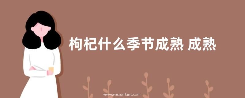 枸杞什么季节成熟 成熟时间在几月份