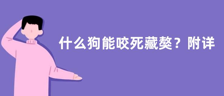 什么狗能咬死藏獒？附详细介绍