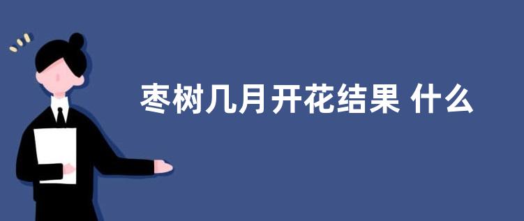 枣树几月开花结果 什么时候开花结果
