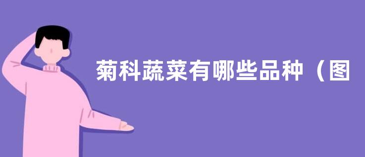 菊科蔬菜有哪些品种（图片）