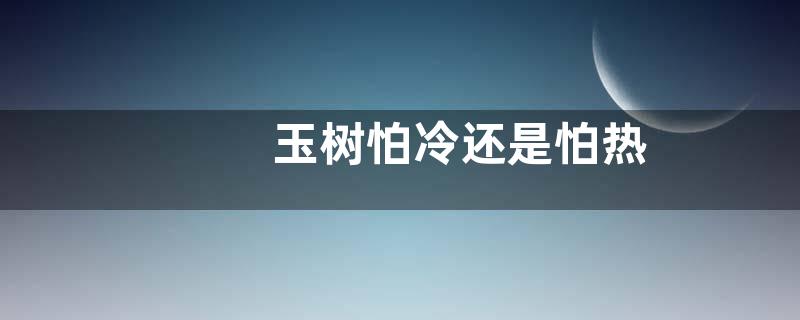 玉树怕冷还是怕热