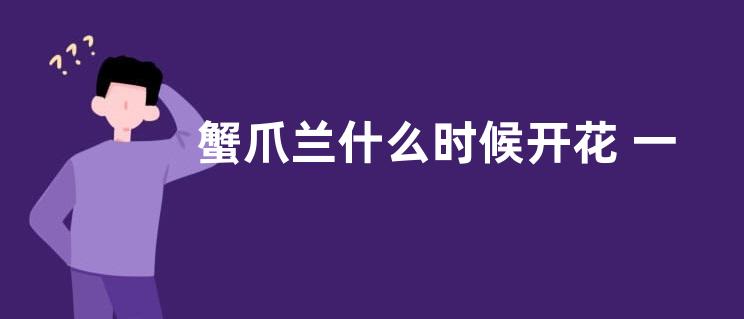 蟹爪兰什么时候开花 一年开几次花