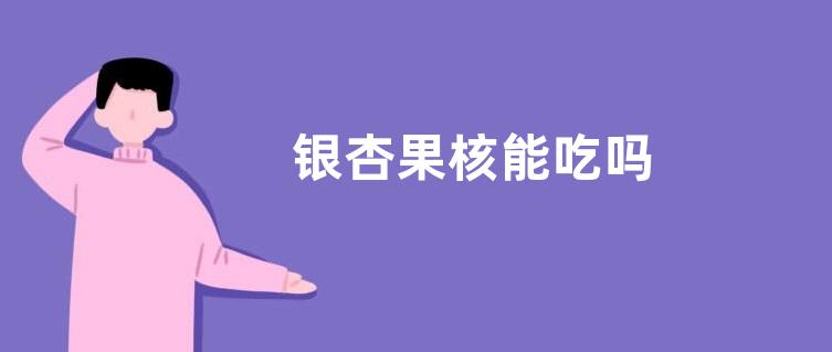 银杏果核能吃吗