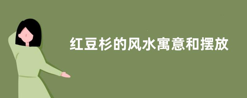 红豆杉的风水寓意和摆放位置