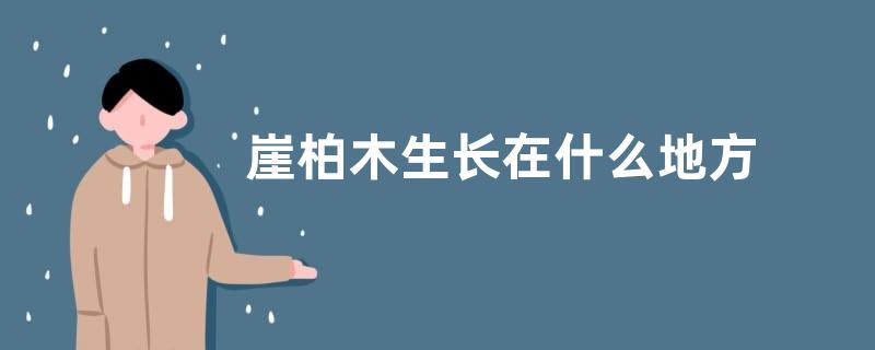 崖柏木生长在什么地方 分布在哪里