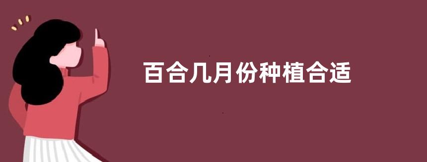 百合几月份种植合适