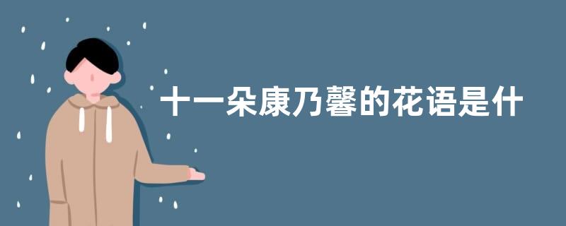 十一朵康乃馨的花语是什么意思 送妈妈什么颜色好