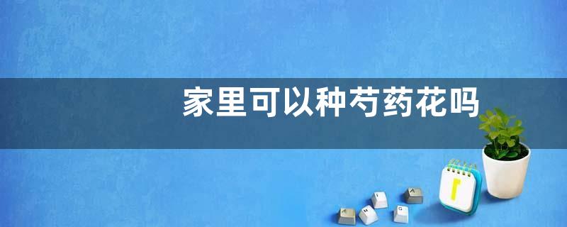 家里可以种芍药花吗