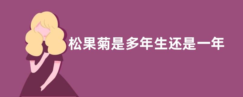 松果菊是多年生还是一年生 属于多年生草本植物