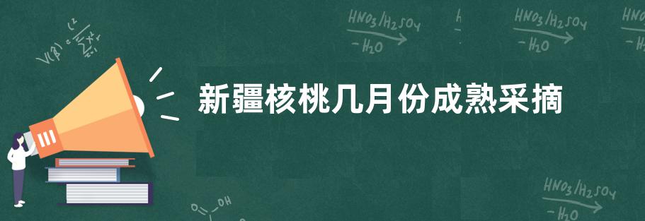 新疆核桃几月份成熟采摘 什么时候采摘最好