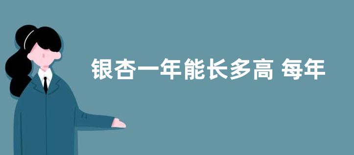 银杏一年能长多高 每年长多少公分