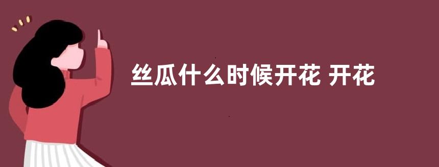 丝瓜什么时候开花 开花时间是几点
