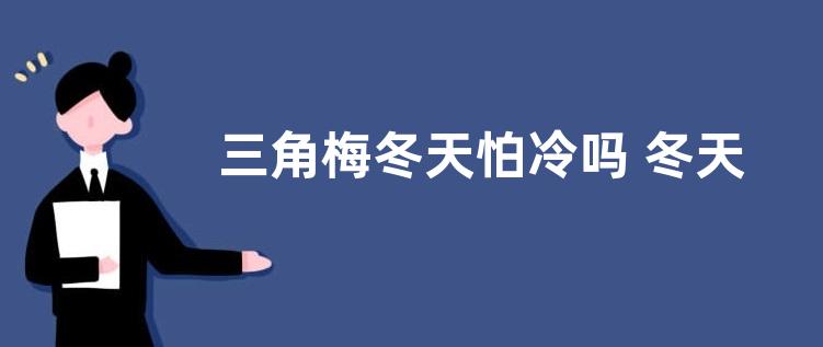 三角梅冬天怕冷吗 冬天摆放室外会冻坏吗