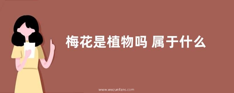 梅花是植物吗 属于什么类型植物