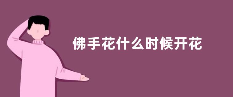 佛手花什么时候开花