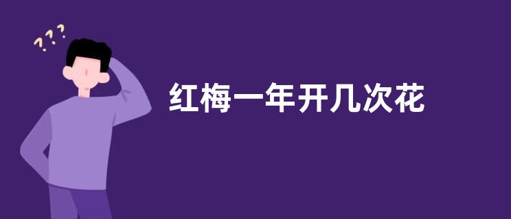 红梅一年开几次花