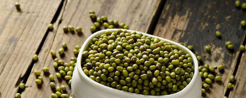 巧生豆芽不长须根法