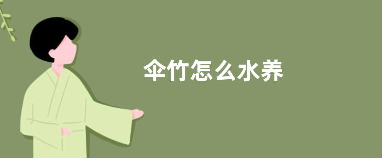 伞竹怎么水养