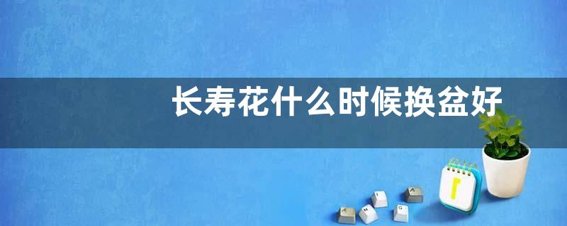 长寿花什么时候换盆好