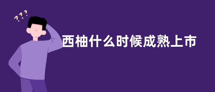 西柚什么时候成熟上市