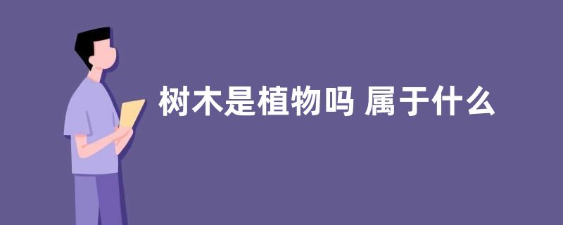 树木是植物吗 属于什么类植物