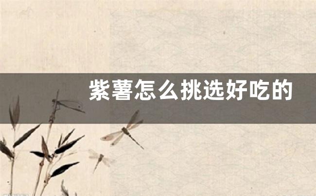 紫薯怎么挑选好吃的