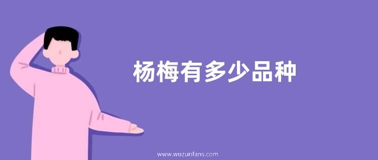 杨梅有多少品种