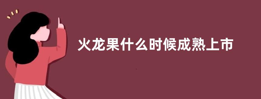 火龙果什么时候成熟上市