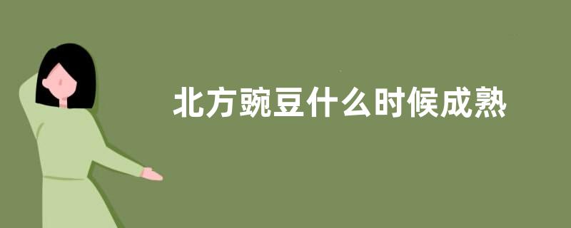 北方豌豆什么时候成熟