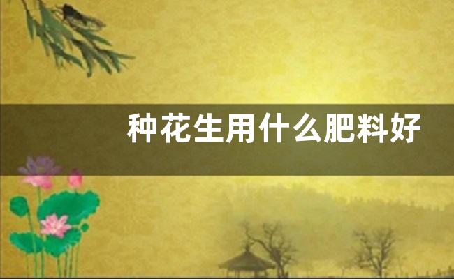 种花生用什么肥料好
