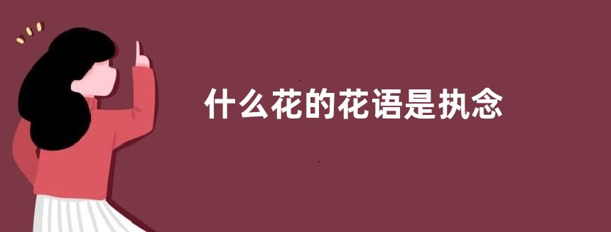 什么花的花语是执念