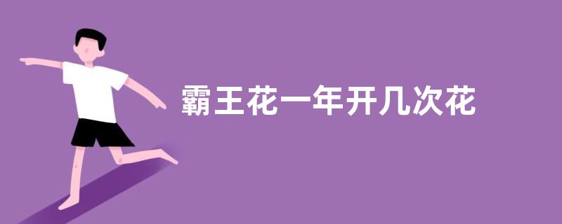 霸王花一年开几次花