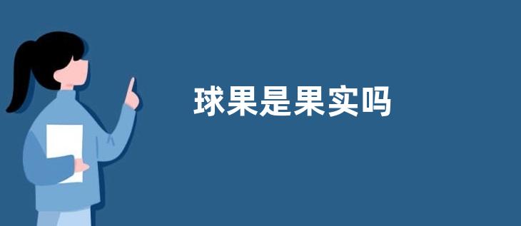 球果是果实吗
