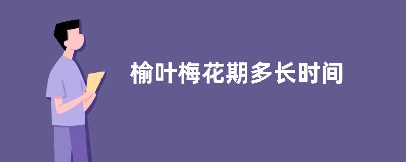 榆叶梅花期多长时间
