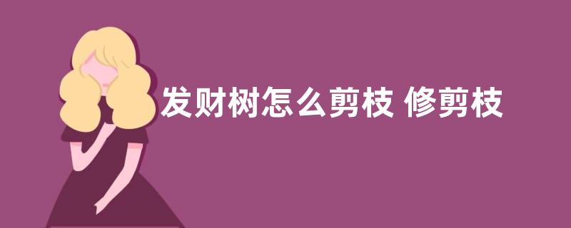 发财树怎么剪枝 修剪枝叶方法