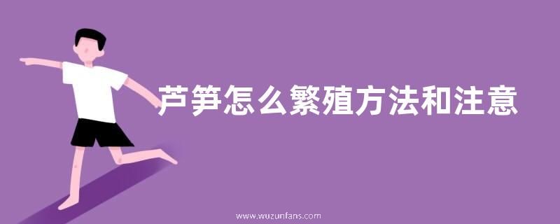 芦笋怎么繁殖方法和注意事项
