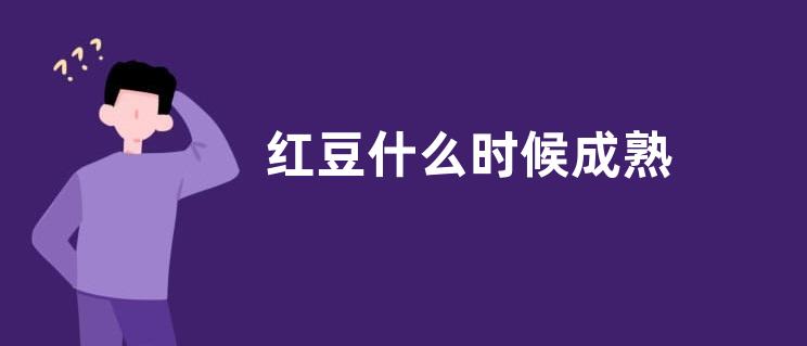红豆什么时候成熟