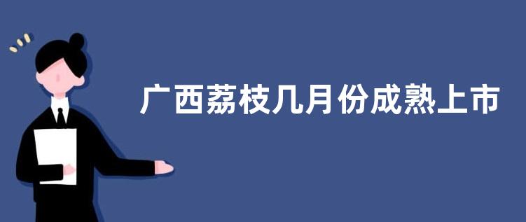 广西荔枝几月份成熟上市