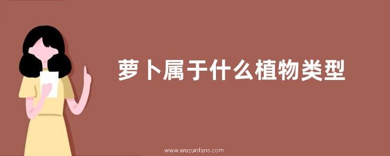 萝卜属于什么植物类型