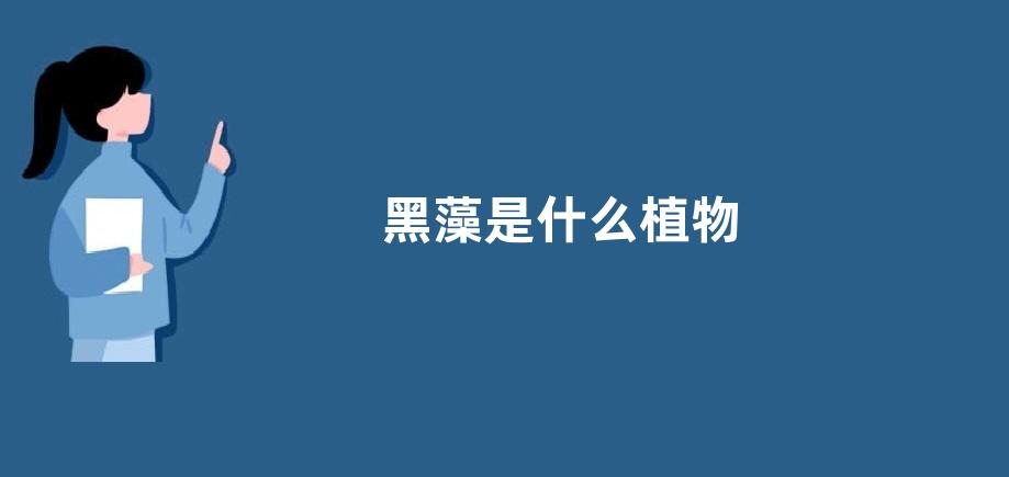 黑藻是什么植物
