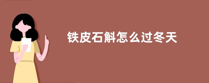 铁皮石斛怎么过冬天